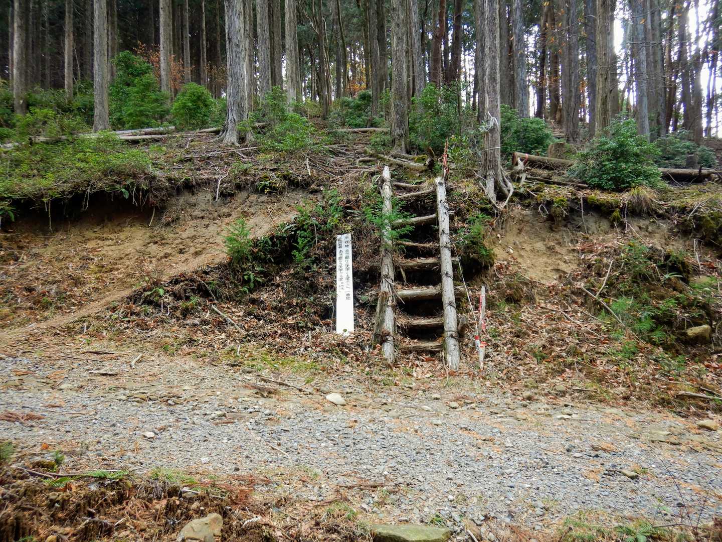 頂上手前で、一度、林道を横断します。