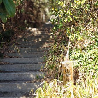 後ろを振り返ると
この階段を降りてきました