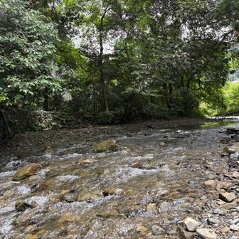 小仏川の水量も多め