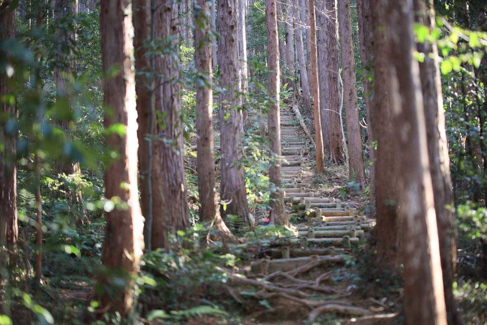 ここがこのルートの核心部‥