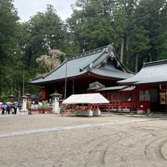 東照宮ほど豪華ではないですが、厳かな雰囲気がいいですね👍