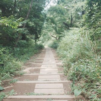 登山道