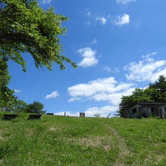 しばらく歩きました🥾
そろそろ山頂かな。
空が青い🔵✨️