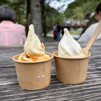 ソフトクリーム🍦美味しかった😋