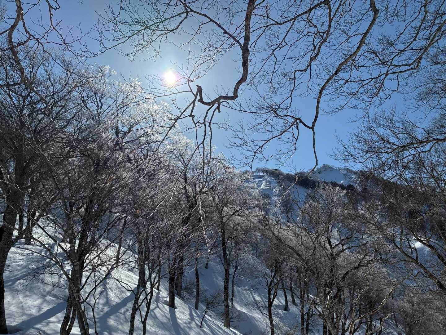 樹氷きれい🤩
