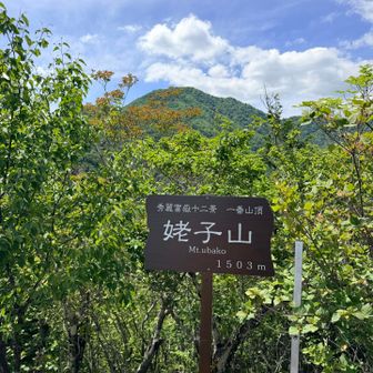 後ろの山は雁ヶ腹摺山