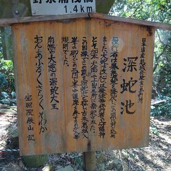 池への道は封鎖されています。
看板に「二上山」とありますが、実際は近鉄大阪線 関屋駅の北西にある観音寺と三輪神社です。
近くに行くことがありましたが、今は紫色の幟があちこちに（4/18が大祭）
https://katsuragisyugen-nihonisan.com/model/nara/post-13.php