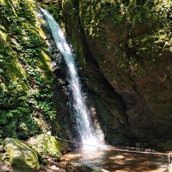 道から少し外れて行けそうだったので、綾広の滝へ寄り道。
ロックガーデン方面へ行く気力はありませんでした。