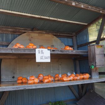 フフフ……勝った😎
ここより沢山入ってて100円で買った私ナイス