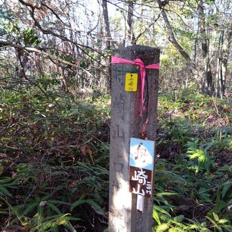 舟崎山。諸頭山からは道がありませんでした