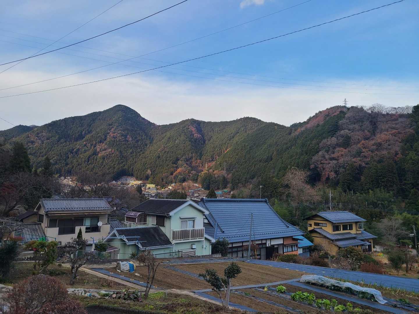 御岳渓谷入口-高峰・日の出山登山口-高峰山-竜のヒゲ-日の 縦走コースの写真