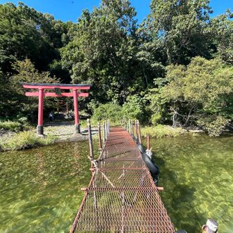 この網々透けてて歩くの楽しい
