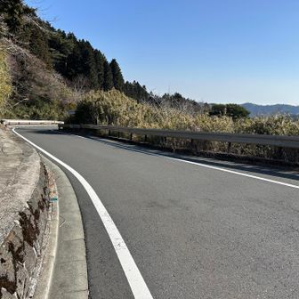 やっぱり日曜日の朝は☀️走りたいですよね💕

（次の車が来たら少し歩こう！）と思って走っていてもなかなか来ないので疲れた🥵
所々丹沢山塊がお目見えする🏔️