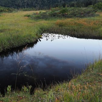 この時期でまだ池塘が残っています