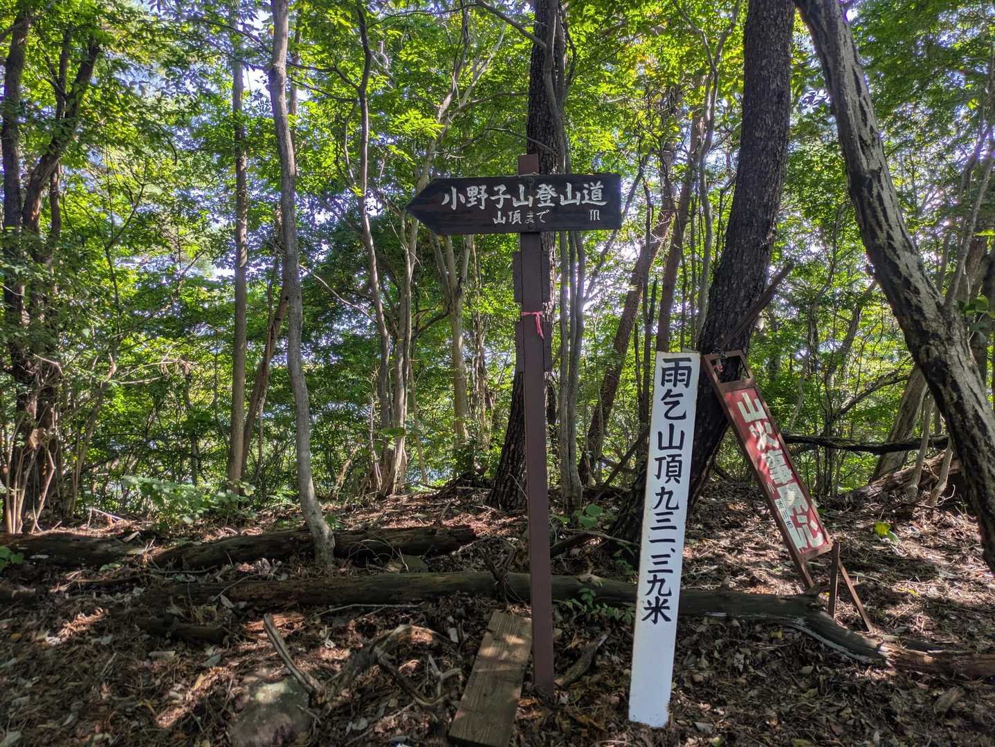 小野子山まではまだここから1時間以上