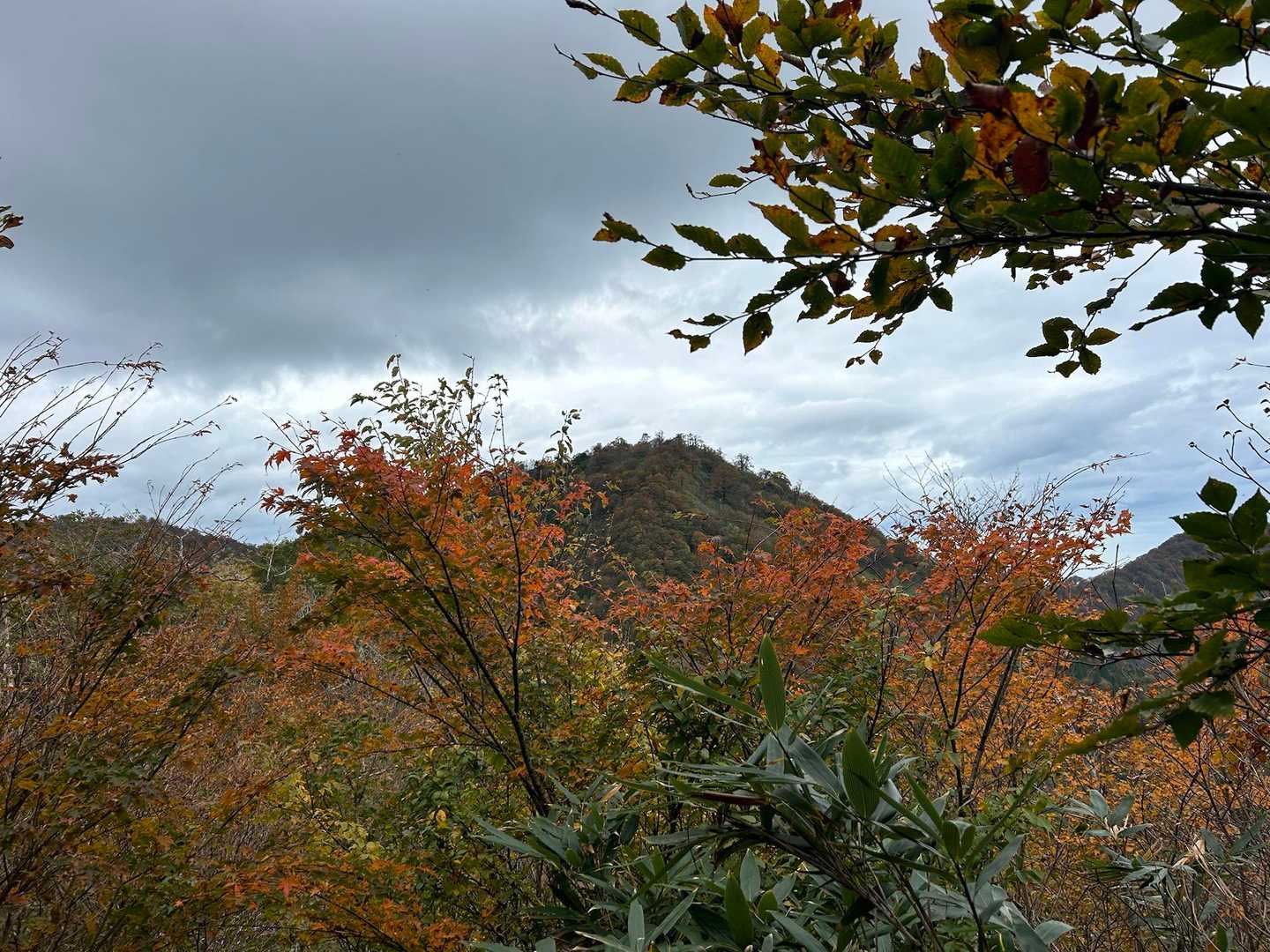 二俣山-皆ヶ山 往復コースの写真