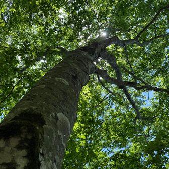 あってぃユーザー