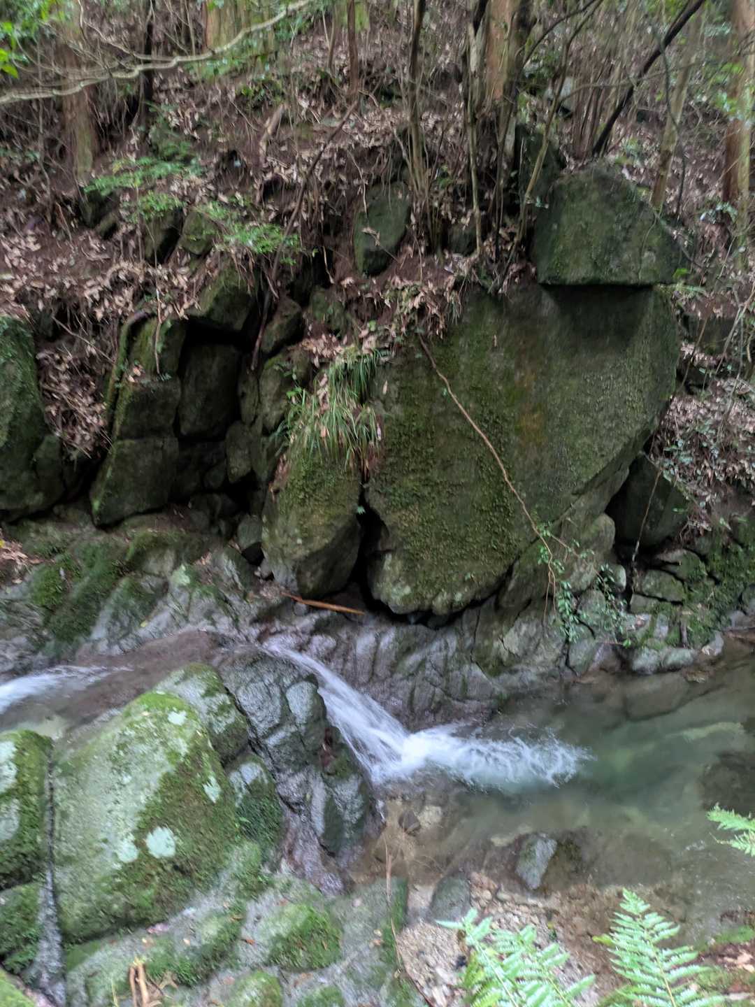 谷川が気持ちいいよ。
