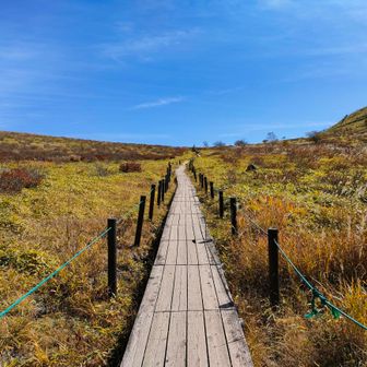 ボーコン沢の頭