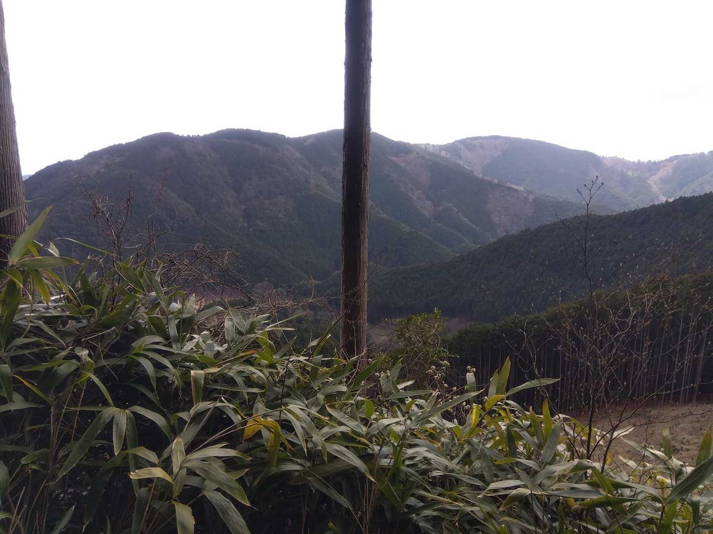 遠くに見える静岡の高尾山。群馬、栃木の高尾山に登ったのでいずれ静岡の高尾山も登りたいですね。
