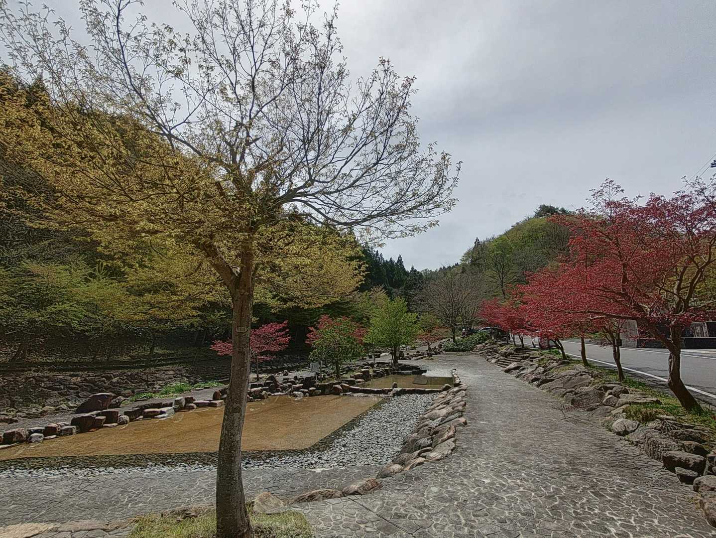 平日なのに沢山の登山客。