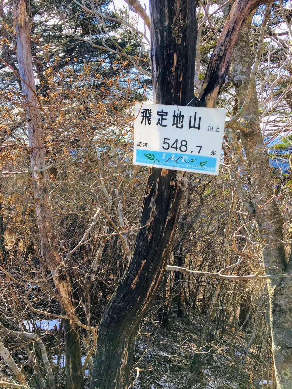 飛定地山の写真