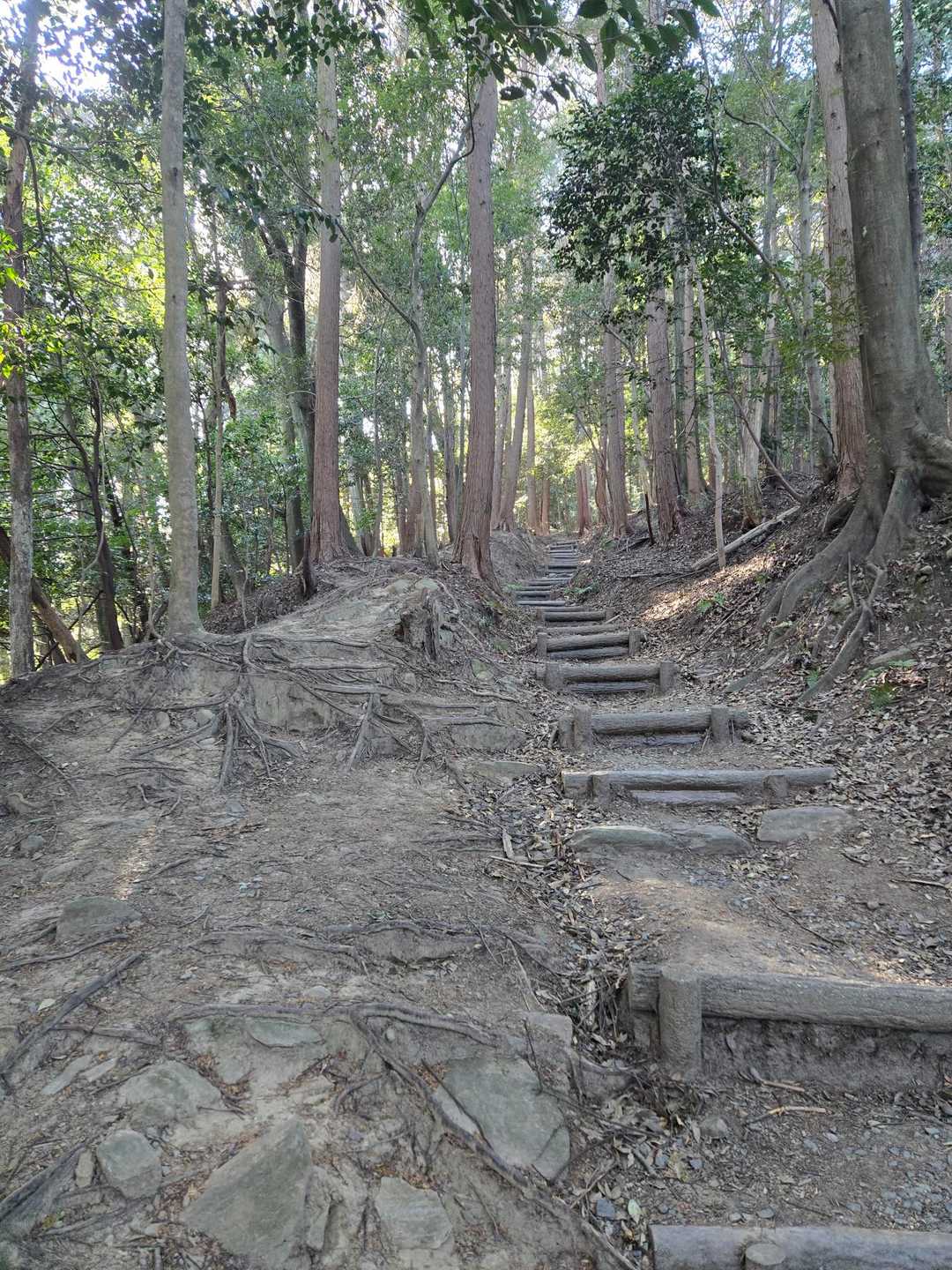 なので、脇道を上がります。
