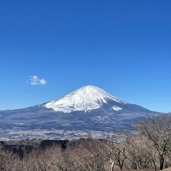 エイミー