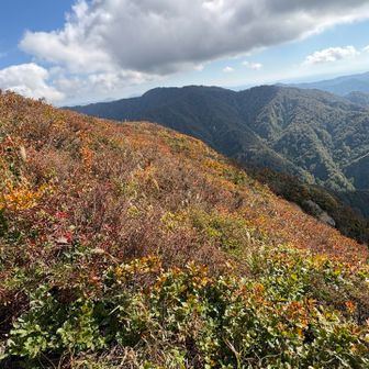秋を満喫しながら下山~~~ 🍁🍂