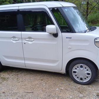 お待たせ🚐
コンコンコンやるなら早朝スタートで🖐️(反省)