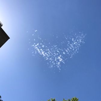 あけぼの1号　青森行