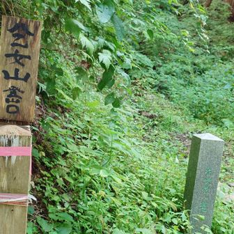 道宗道から