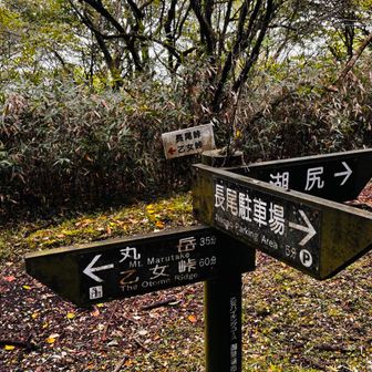 長尾峠駐車場から最初の分岐