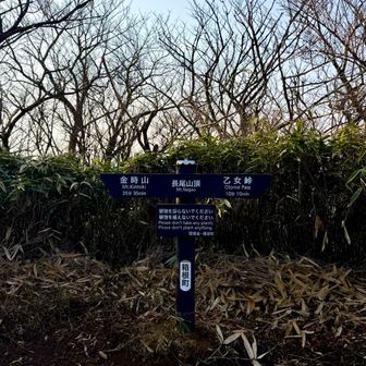 長尾山 標高1,145m🥰