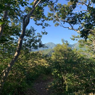 樹林帯が太陽光遮ってくれて涼しい〜🌲
ってーのはうそで飲んだ水は汗に 汗は塩に💦
前日のハンガーノック反省して時々カツサンド
口にしながらゆっくり歩く🐾