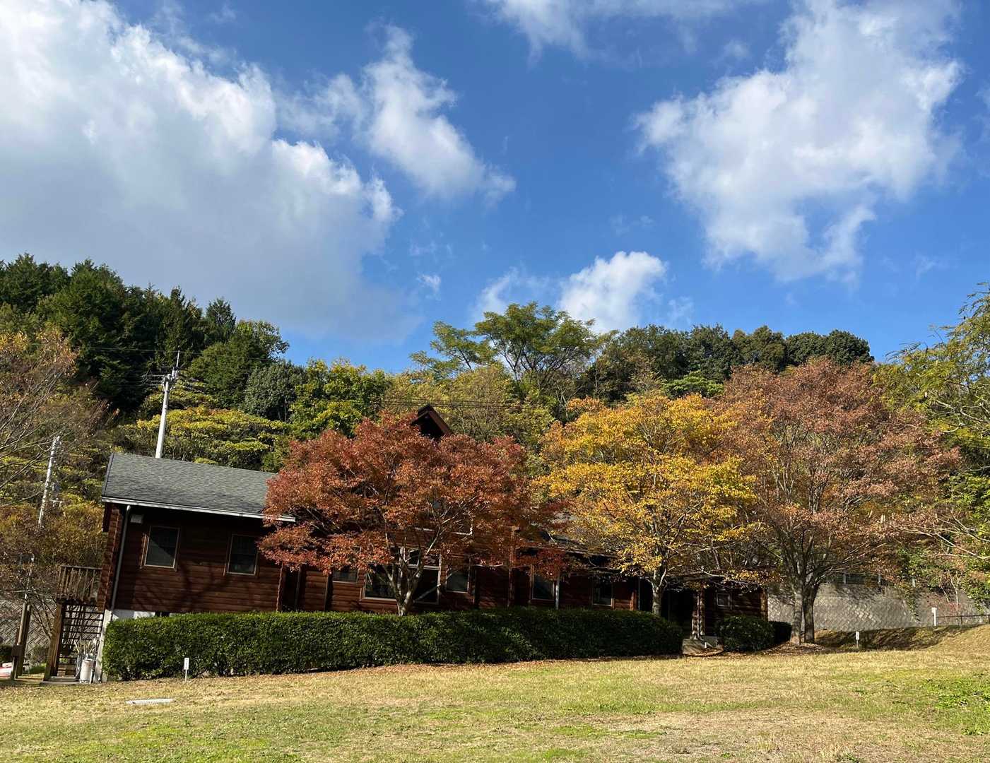 下山。ログハウス付近も紅葉しています🍁