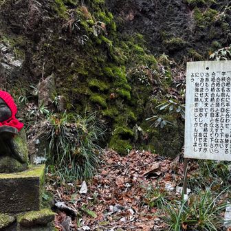 甥っ子姪っ子がお世話になりました！