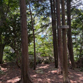 ラスト
ここからピストンで帰るつもりでしたが、ゴロゴロ音が⚡️
高館山の途中で林道通って車道へ、雨の中ジョギングしながら公園へ戻りました🏃‍♀️‍➡️🌧️