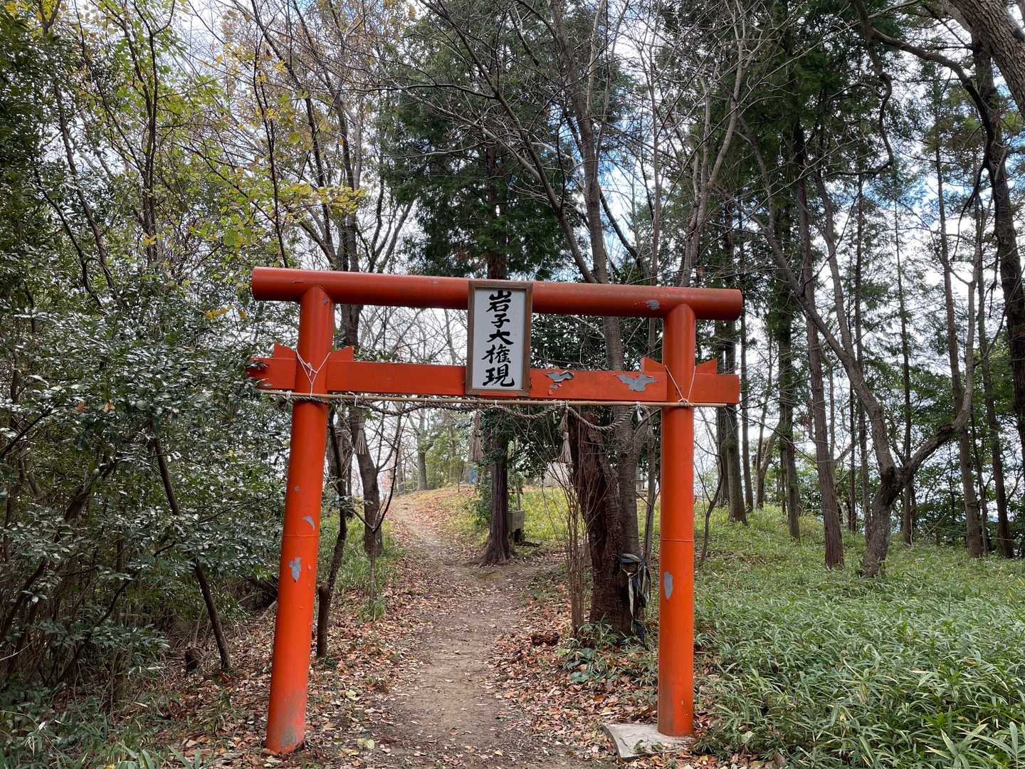 ほぼ山頂、岩子大権現⛩