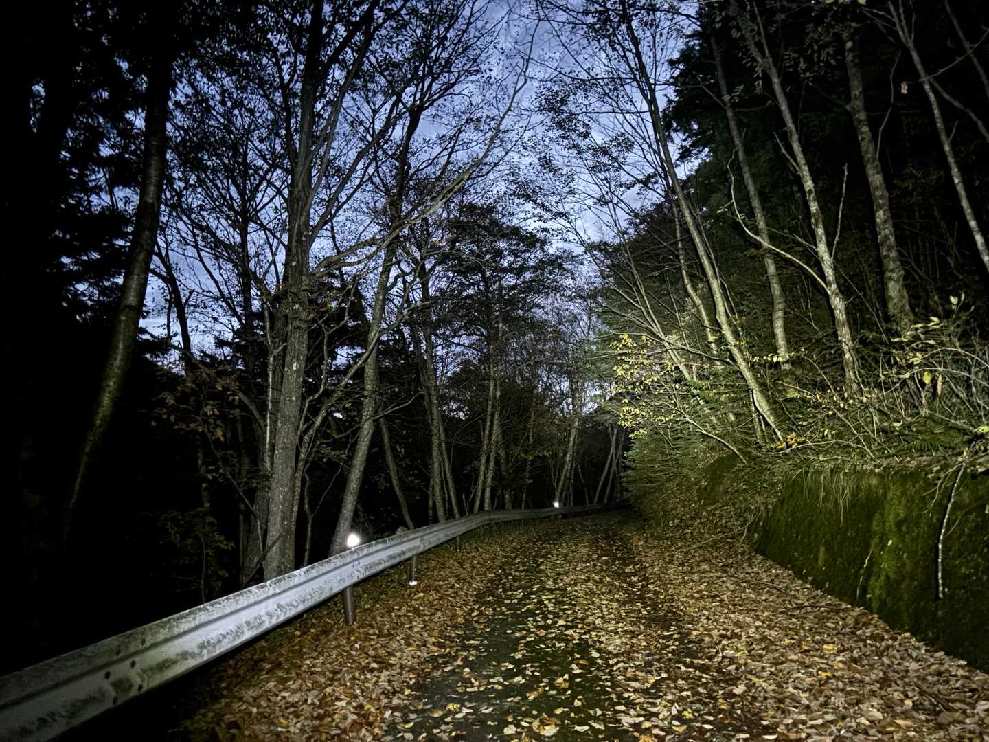 ずっとこんな道が続きます。キックボード🛴で来ようかと思ってたので、危なかった。
舗装路ですが、結構ガタガタなので自転車じゃなきゃ厳しいです💡