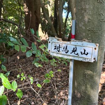 そして、最後の対馬見山です😄