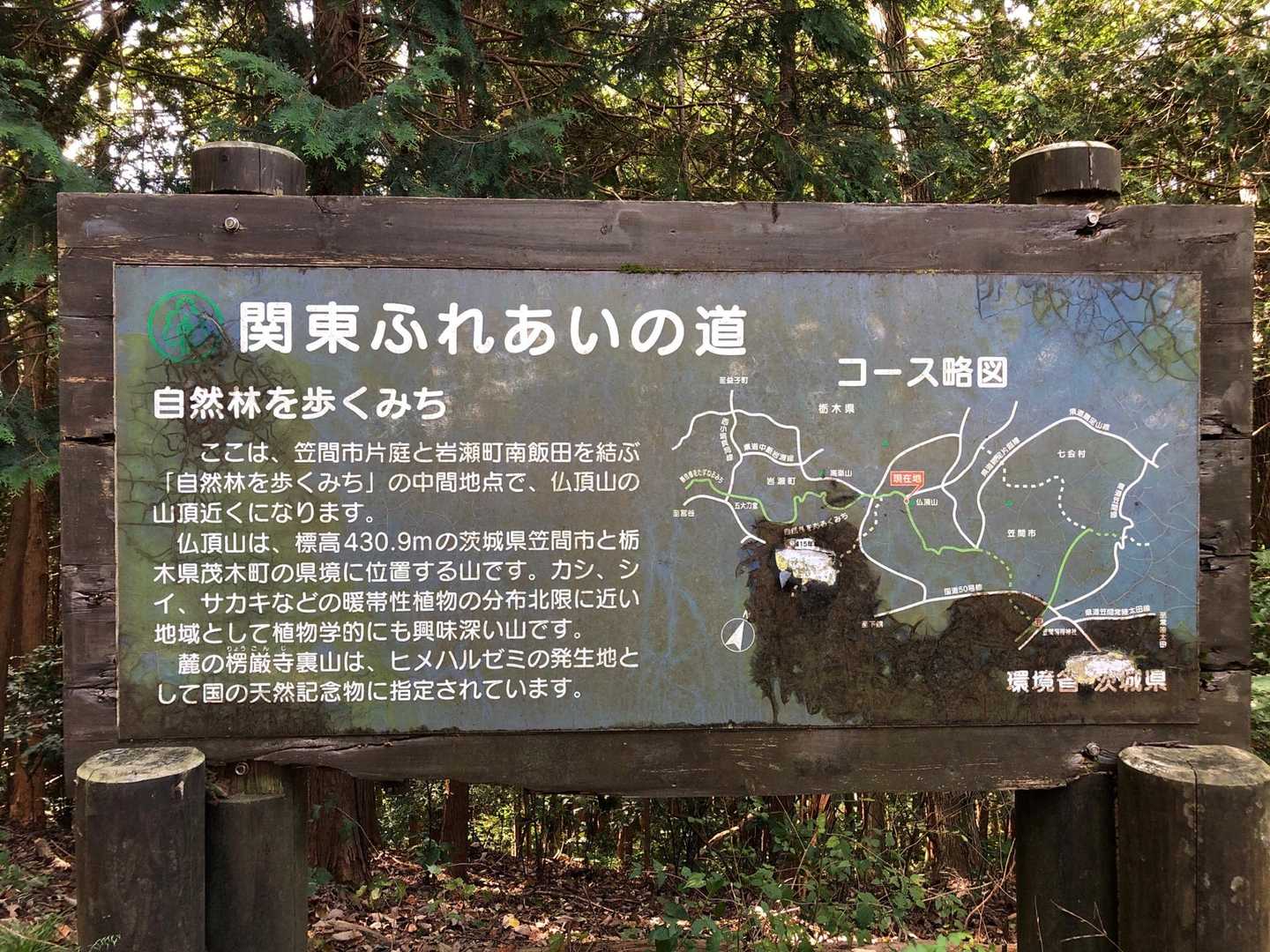 ここが山頂付近なんですが、表示が無い
