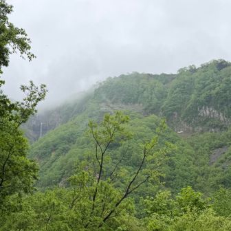 降ったり止んだりに変わってきた☺️