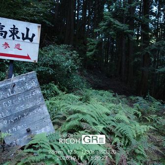 ここから登山道に入ります。