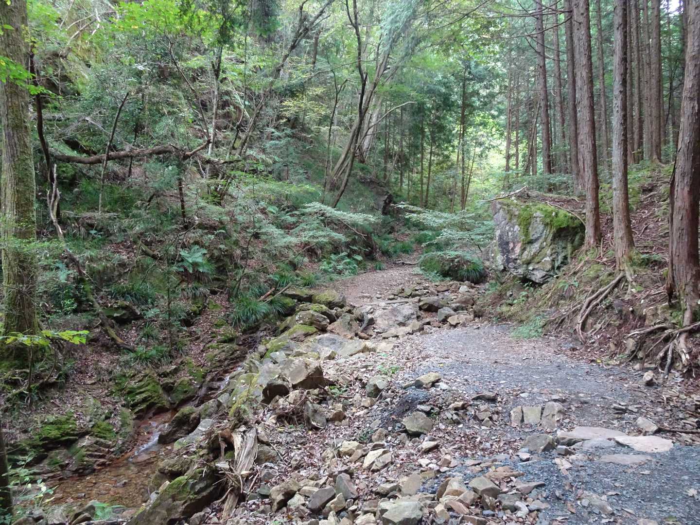 いつもの北コースから♬