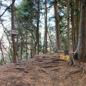 風が冷たいので早々に下山します