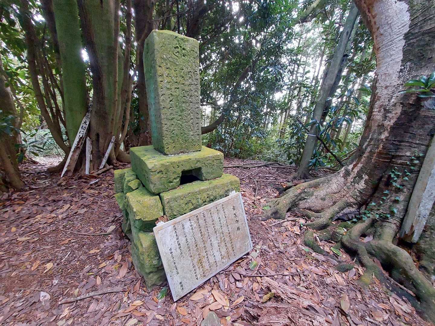 宝篋塔山🙋山頂到着