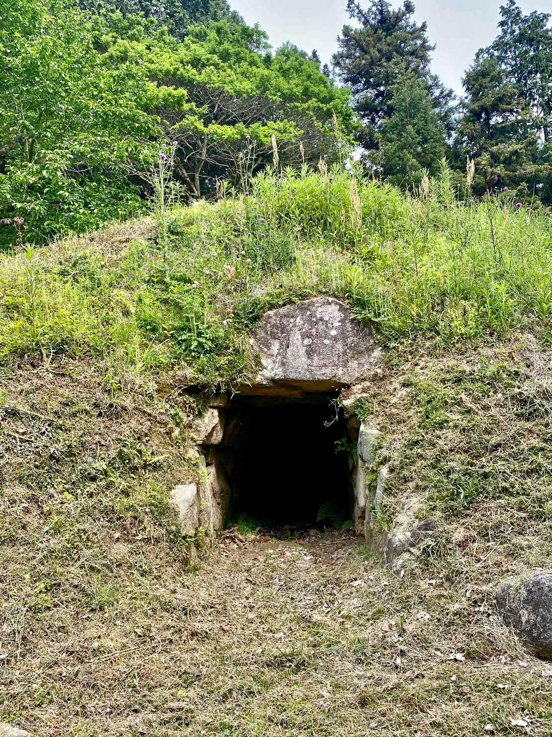 いきなり古墳‼️
テンション上がる⤴️
恐る恐る中に入ってみる！
蜘蛛の巣が顔に🕸纏わりついた💢💦
テンション下がる⤵️