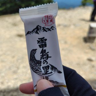 今日のおやつは長野土産でもらった雷鳥の里