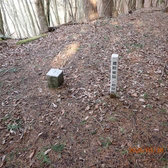 938.5P城本山の三角点。